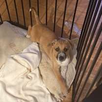 Thumbnail photo of Aquila #1