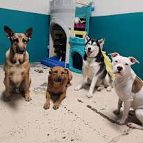 Thumbnail photo of Hetfield #3