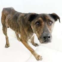 Thumbnail photo of Sprocket #1