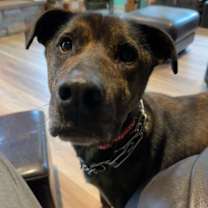 Thumbnail photo of Sprocket #2