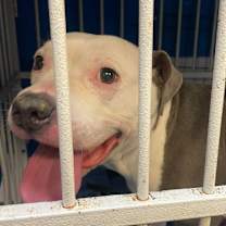 Thumbnail photo of Promise #2