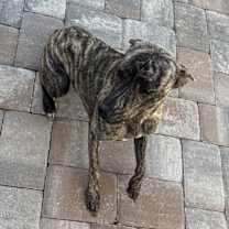 Thumbnail photo of Nova #2