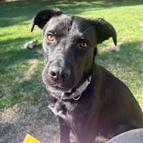 Thumbnail photo of Verde #4