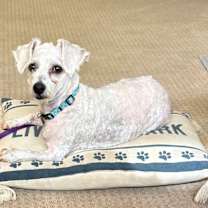 Thumbnail photo of Ailani #4