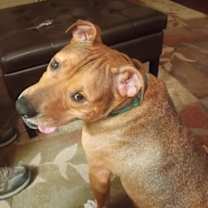 Thumbnail photo of Daisy #3