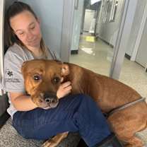 Thumbnail photo of Just Joe #3