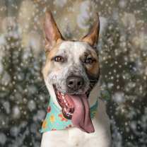 Thumbnail photo of Tate #1