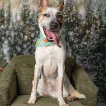 Thumbnail photo of Tate #2