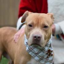 Thumbnail photo of Penny #4