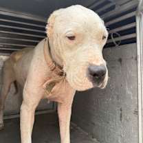 Thumbnail photo of Dorothy #2