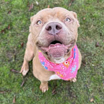 Thumbnail photo of Brittney #1