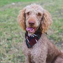 Thumbnail photo of Newbie #1