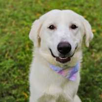 Thumbnail photo of Nala #2