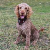 Thumbnail photo of Newbie #2