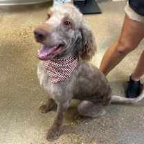 Thumbnail photo of Newbie #3