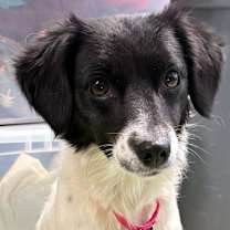 Thumbnail photo of Leah #2