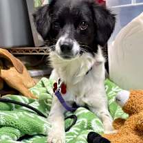 Thumbnail photo of Leah #3