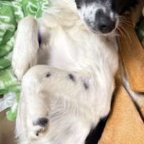 Thumbnail photo of Leah #4