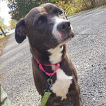 Thumbnail photo of Ayme #2