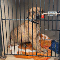 Thumbnail photo of Happy #2