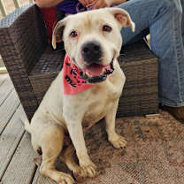 Thumbnail photo of Dawn JuM #1