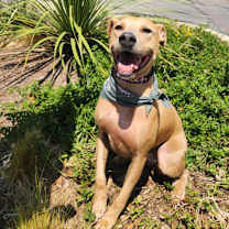 Thumbnail photo of Winona JuM #2