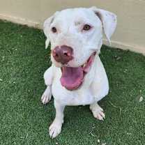 Thumbnail photo of Archer JuM #1