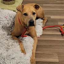 Thumbnail photo of Winona JuM #1