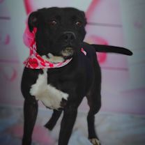 Thumbnail photo of Skye JuM #3