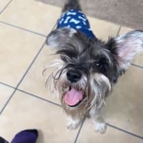 Thumbnail photo of Motley #3