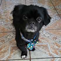 Thumbnail photo of Plymouth #1