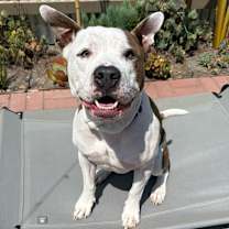 Thumbnail photo of Rock #1