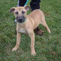 Thumbnail photo of Bliss #2