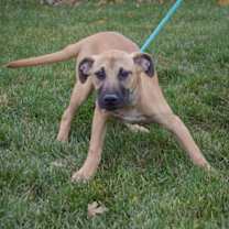 Thumbnail photo of Bliss #3