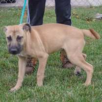 Thumbnail photo of Bliss #4