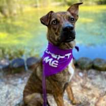 Thumbnail photo of $00 Saint #3