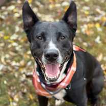 Thumbnail photo of Lilly #1