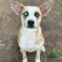 Thumbnail photo of Riley #3