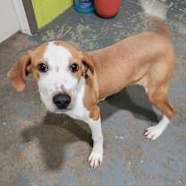 Thumbnail photo of Harper #2