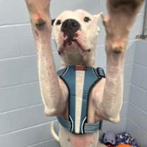 Thumbnail photo of Freya #2