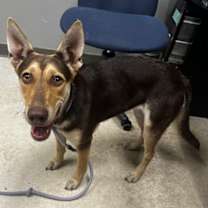 Thumbnail photo of Grace #2