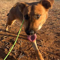 Thumbnail photo of Jazz #3