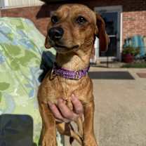 Thumbnail photo of Wrigley Westbrook #2