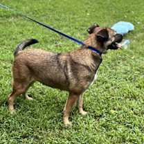 Thumbnail photo of Kie #4