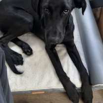 Thumbnail photo of Stash #3