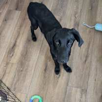 Thumbnail photo of Stash #4