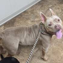 Thumbnail photo of Aurora #1