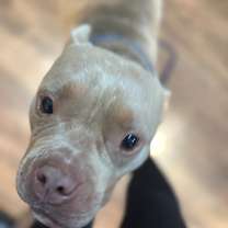 Thumbnail photo of Aurora #3