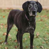 Thumbnail photo of NELLIE #1