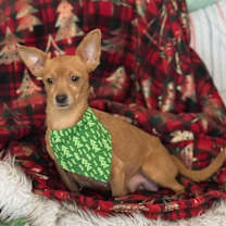 Thumbnail photo of Fiona #2